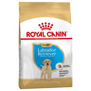 3kg Puppy Labrador Retriever Royal Canin Breed - Croquettes pour chiot