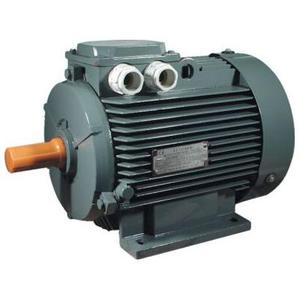Moteur eléctrique triphasé 230/400V 3000t ie1 2cv/1,5kW