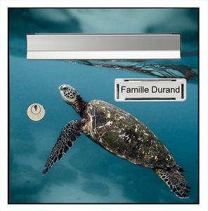 Sticker pour boîte aux lettres, Tortue marine