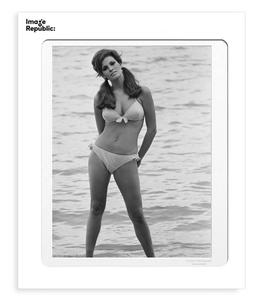 Image Republic - Affiche La Galerie Raquel Welch 4 38 x 56 cm - Blanc