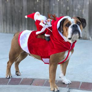 Costume cosplay pour animaux: Le pére noël