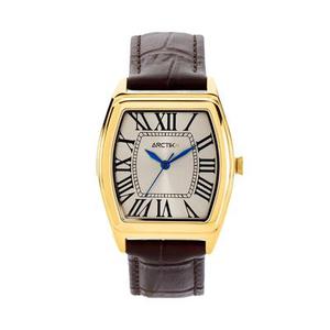 Montre Arctik Globe Argenté