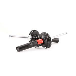 TRW Amortisseur VW,AUDI,SKODA JGM1114T 5Q0413023EP,5Q0413023EQ,5Q0413023ER Kit amortisseur,Amortisseurs,Jambe de force 5Q0413023FH,5Q0413023FJ