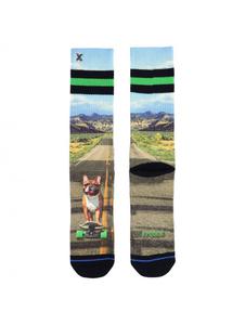 XPOOOS - Chaussettes Homme SKATING DOG