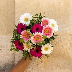 Bouquet Marguerite - Fleurs à offrir - Le Jardin des Fleurs