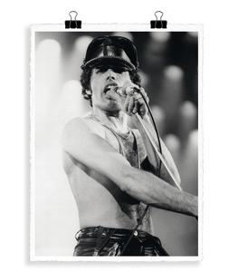 Image Republic - Affiche La Galerie "Freddie Queen" 56 x 76 cm - Noir