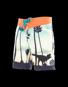 BoardShort Sacramento Dynosore