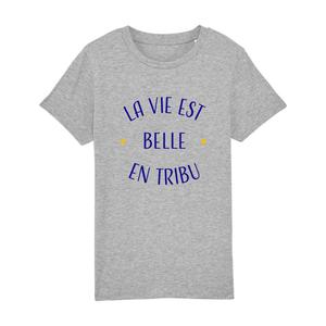 Tshirt Enfant La Vie Est Belle En Tribu - Gris Chiné - Taille 10 ans