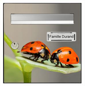 Sticker pour boîte aux lettres, Coccinelles