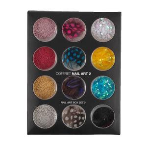 Beauty Success Nail Art Coffret nail art Plumes