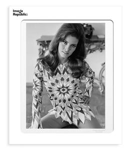 Image Republic - Affiche La Galerie Raquel Welch 5 38 x 56 cm