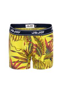 Set van boxers voor jongens met gele en